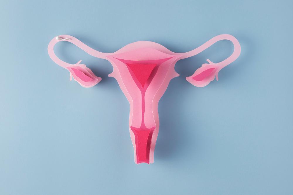 Intimchirurgie nach der Entbindung vagina schamlippenverkleinerung türkei kosten